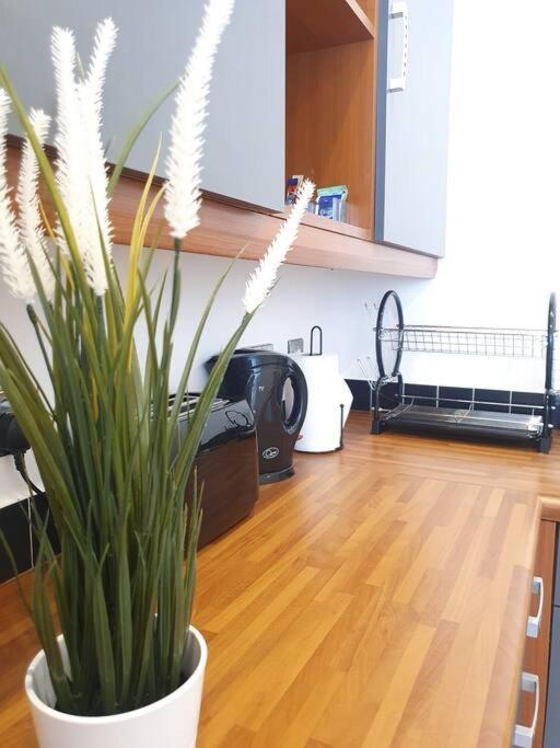 Contemporary Modern Studio Apartment - City Centre Birmingham Esterno foto