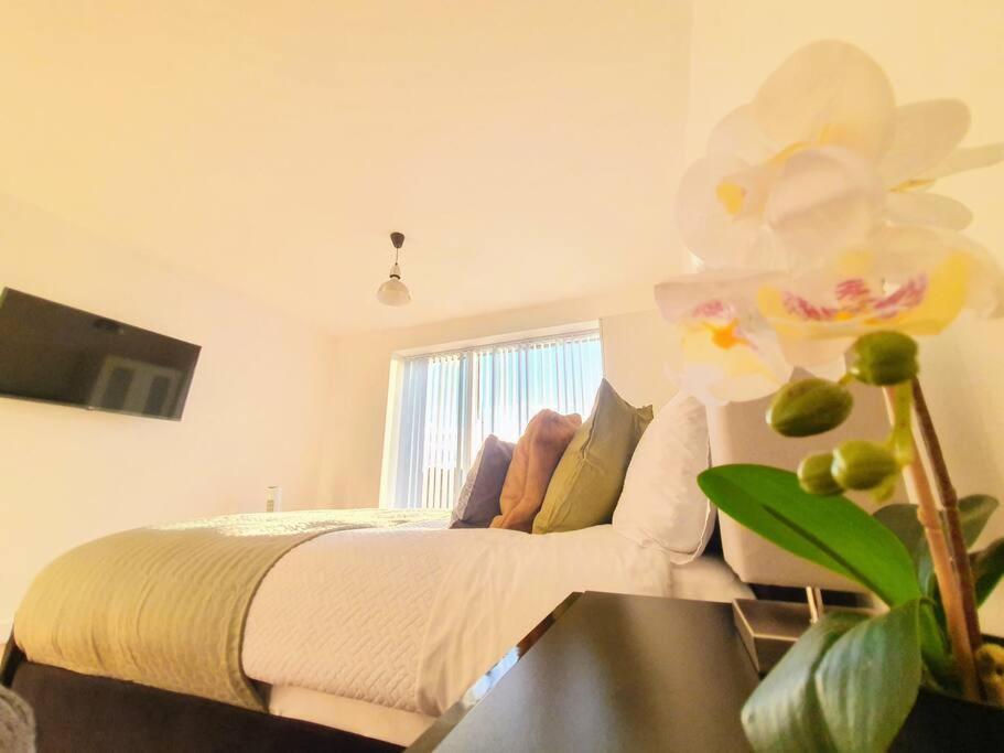 Contemporary Modern Studio Apartment - City Centre Birmingham Esterno foto